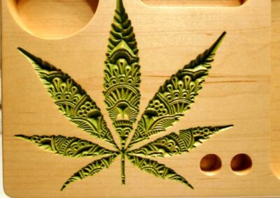 Green-cannabis-leaf-close-up